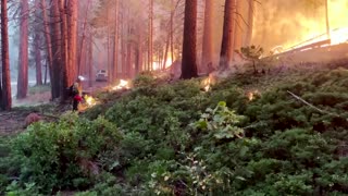 Timelapse shows wildfire in Yosemite National Park