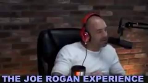 Joe Rogan Experience #354 - Ari Shaffir Amy Schumer.MP4