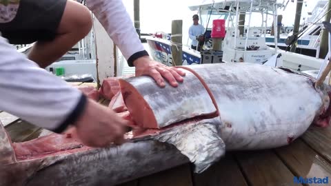 How to clean a 231lb swordfish