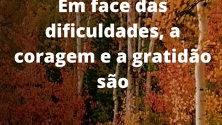 #coragemegratidão