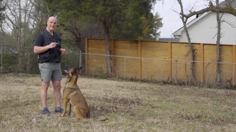 Viral Dog training on Ground
