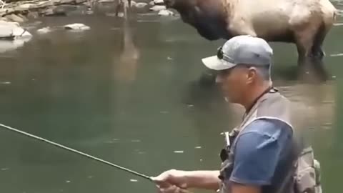 Elk Approved Fishing