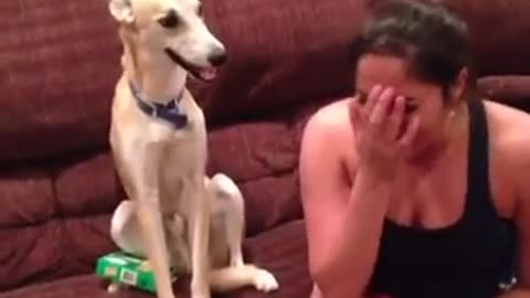 My Dog Can Laugh Vine