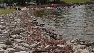 Lexington Tennessee Beach Lake 3