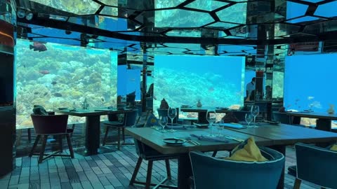 Underwater restaurant in the Maldives | Surreal fine dining experience