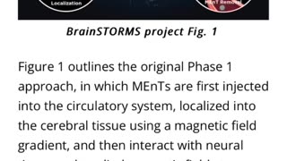 DARPA BRAINSTORM PROJECT