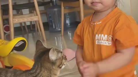 Adorable cat playing with cute baby girl 😍😍awesome moment