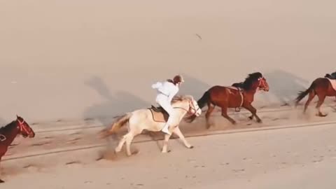 Drone Shot of a Woman Riding a Horse