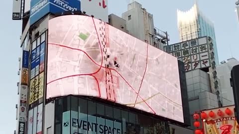 (No cut) Cat in a weightless state - 3D digital billboard in Shinjuku Tokyo.