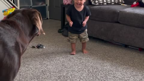 Dog and Baby Play Tag Together