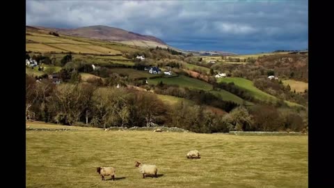 ISLE OF MAN #SHORTS