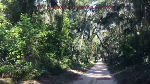 Bulow Plantation Ruins + Historic State Park + Flagler Beach + Florida + Part 1/5