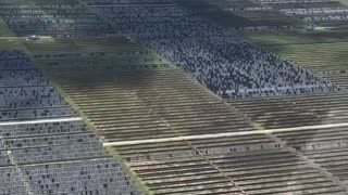 Hail storm in Damon Texas on 3/24/24 destroys 1,000’s of acres of solar farms.