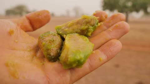 À la découverte du Sénégal, du Sahel à la Casamance (documentaire)