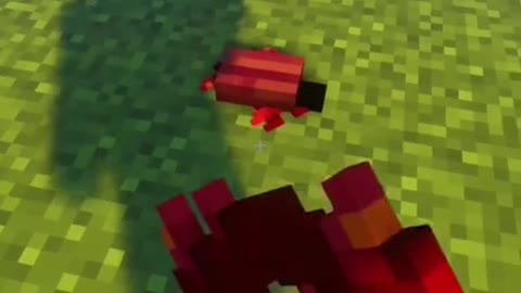 Little Beetle in Minecraft