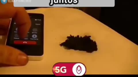 This is effect of 5G on graphene oxide!