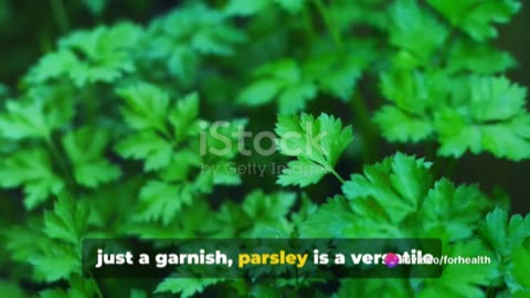 Parsley Power: Unleashing the Super Herb