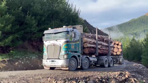 Log Trucks NEW ZEALAND 2024!