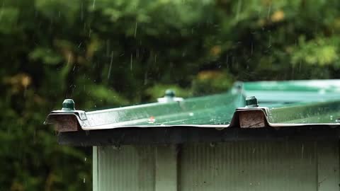 Instantly falls asleep with heavy rain looking at the roof