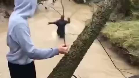 Walking on the tree to the water#funny videos