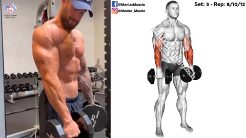 UPPER BODY WORKOUT WITH DUMBBELLS (Shoulder-forearms-chest-triceps-back-biceps)