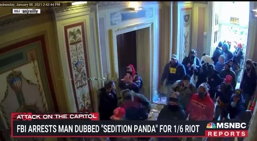 The FBI has arrested a Florida man dubbed the “Sedition Panda” who supposedly stormed ...