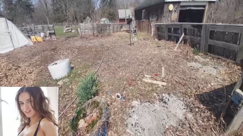 Log Cutting wood chip moving for the garden.