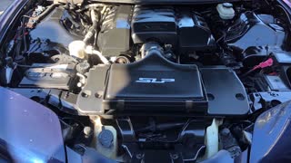 Cammed and Stroked LS 98 Trans Am, 5.7-383 Build Image Video-Test Drive at end.