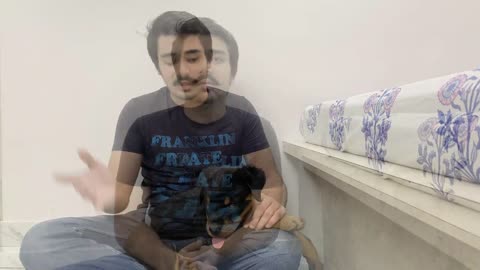 PUPPY BITING TRAINING IN HINDI