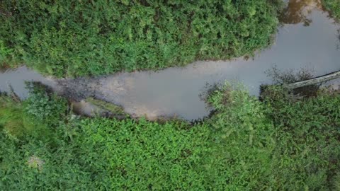 Drone Vertical Flying over Creek in the Woods