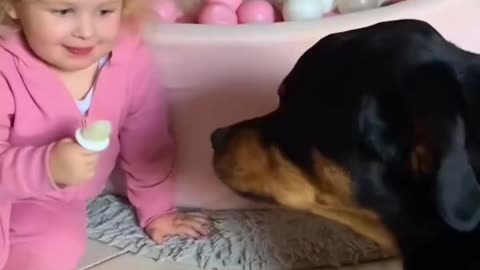Rottweiler Dog Shows Unconditional Love to Baby Girl in This Cute and Funny Video 😍🐕👀♥️