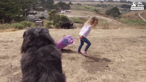 Enormous Dogs Love Taking Care Of Their Little Sister | The Dodo Kid's Best Friend