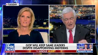 "I blame Mitch McConnell!" Speaker Gingrich Blasts McConnell for Midterms