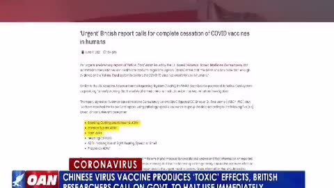 THE BRITISH RESEARCHERS CALL ON THE GOVERMENT TO STOP THE USE OF VACCINES IMMEDIATLEY!