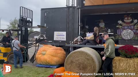 Fall Lovers Bow Down! We Hit the Pumpkin Spice Motherlode: 2,554 Pound Gourd Beats National Record
