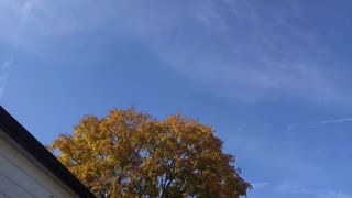 Barry Dutton - Chemtrail Video 1 in Oshawa 3 mins -- 2022-10-23