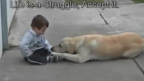 Sweet Mama Dog Interacting with a 3yo DS child From Jim Stenson.