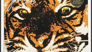 Eye Of The Tiger (Remix)