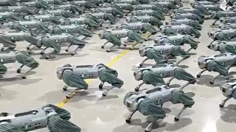 Chinese Robotics Company Unveils Fleet of Robot Dogs