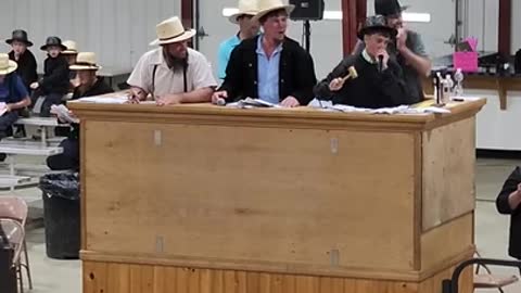 11 yr old auctioneers at Middlefield Ohio standardbred driving horse sale. May 28 2022