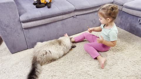 Baby Girl And Her Cat Brother Are Completely Inseparable [CUTENESS OVERLOAD]