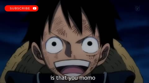 Luffy takes a Look at Momo's Dragon Like Kaido for the FIRST TIME EngSub [HD]