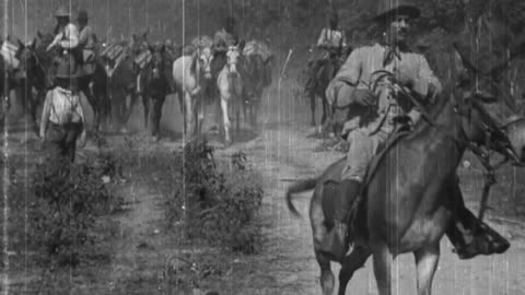 Pack Mules With Ammunition On The Santiago Trail, Cuba (1898 Original Black & White Film)