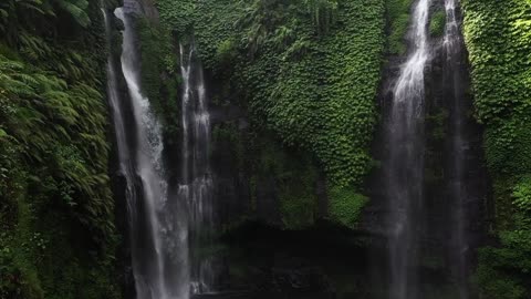 Beautiful Waterfall Immersed in Nature - Relaxing Music