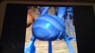 A bug's life Flik Butt