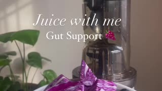 Gut support juice