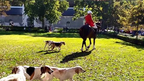 Cape hunt heritage ride sounds echoes of the past