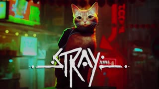 Sleeping Cat from the video game "STRAY" (2022) 🐱🐈 😻 😺