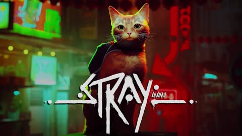 Sleeping Cat from the video game "STRAY" (2022) 🐱🐈 😻 😺