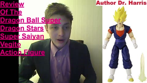 Review Of The Dragon Ball Super Dragon Stars Super Saiyan Vegito Action Figure